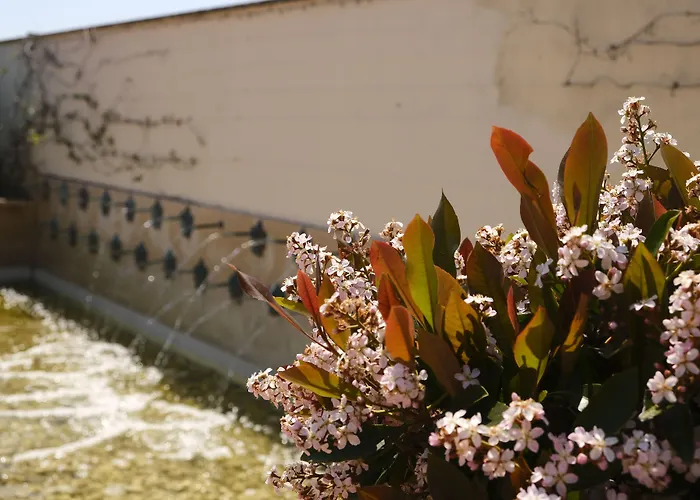 L'antico Uliveto Hotel 4*